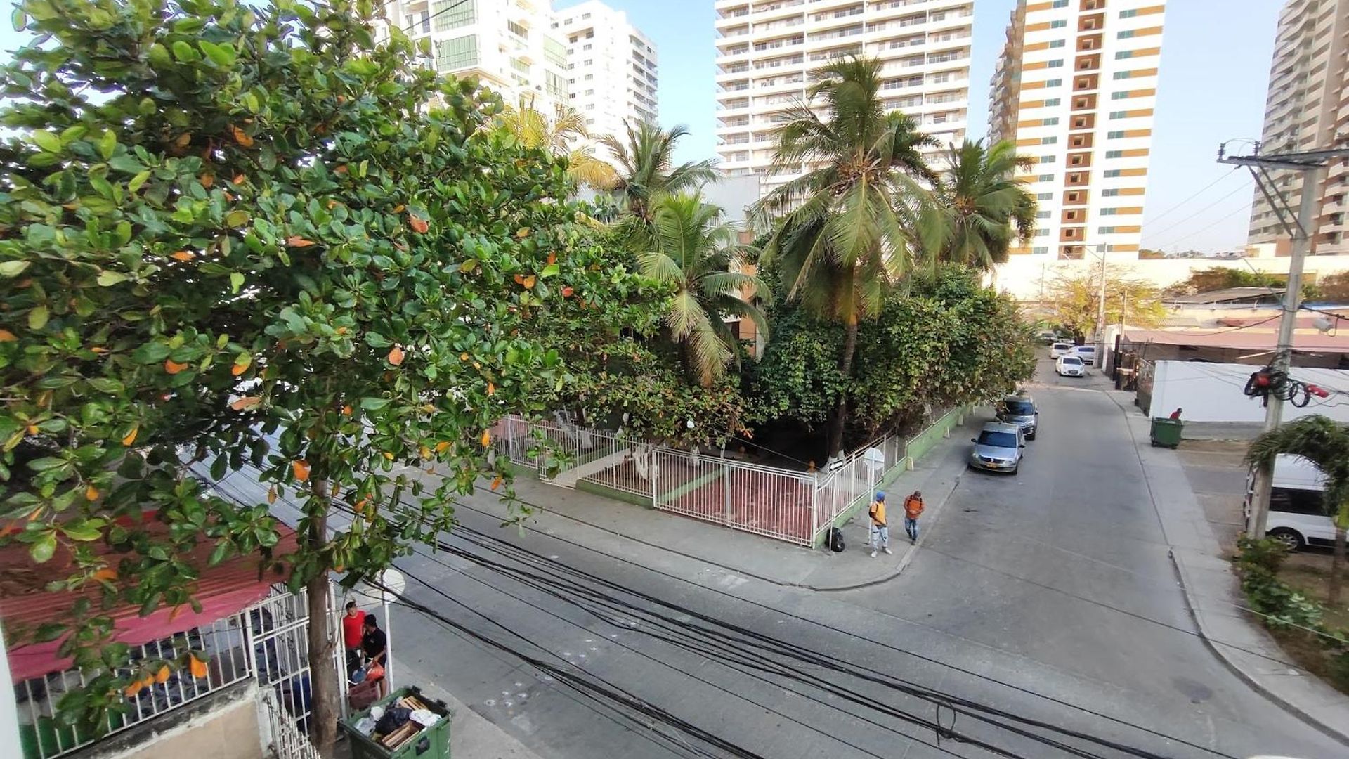Manglares * Cartagena